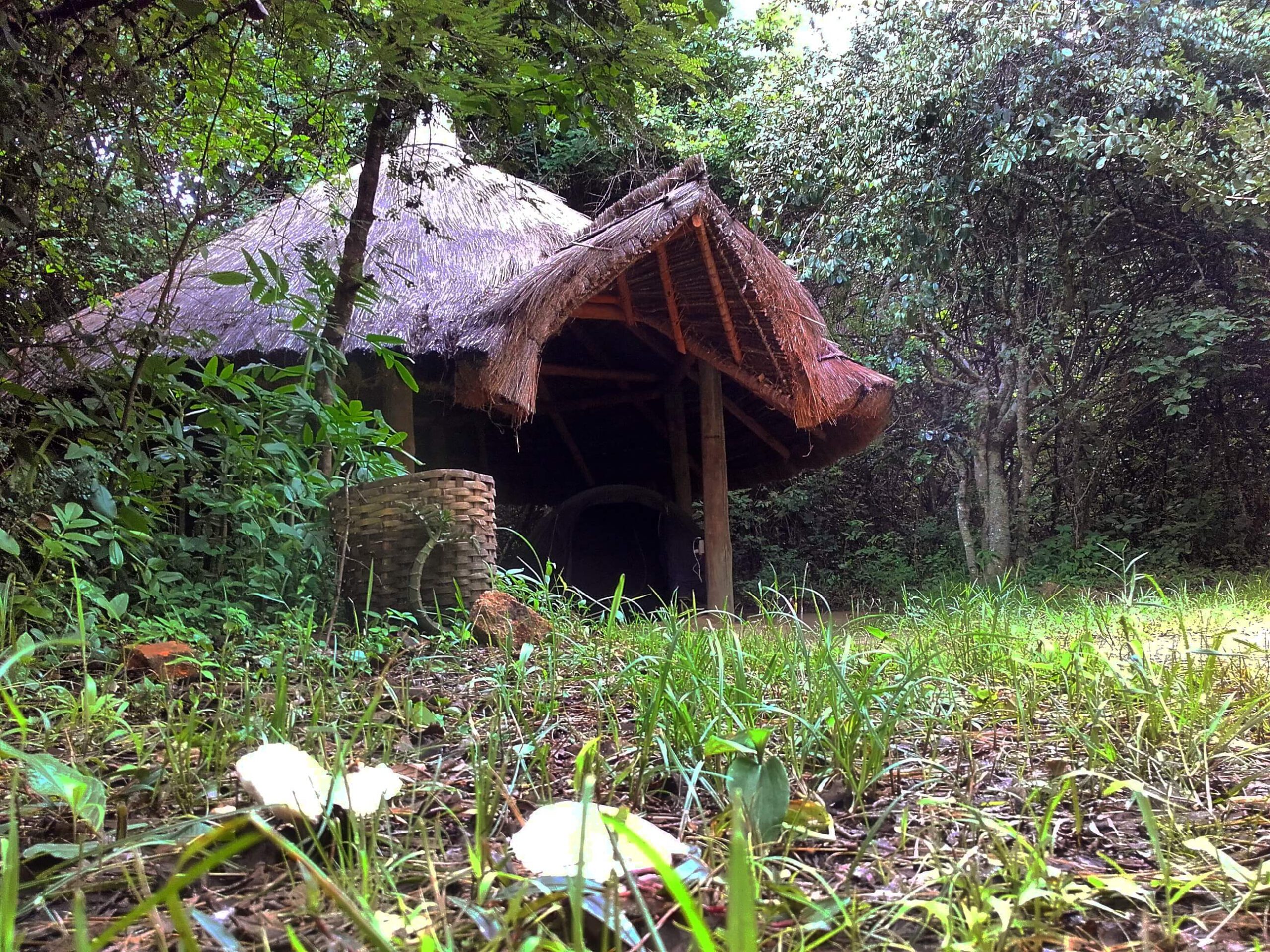 Casa número 14
